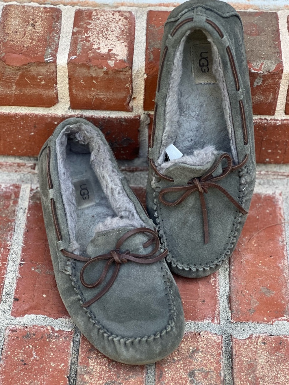 Ugg Slipper Size 10